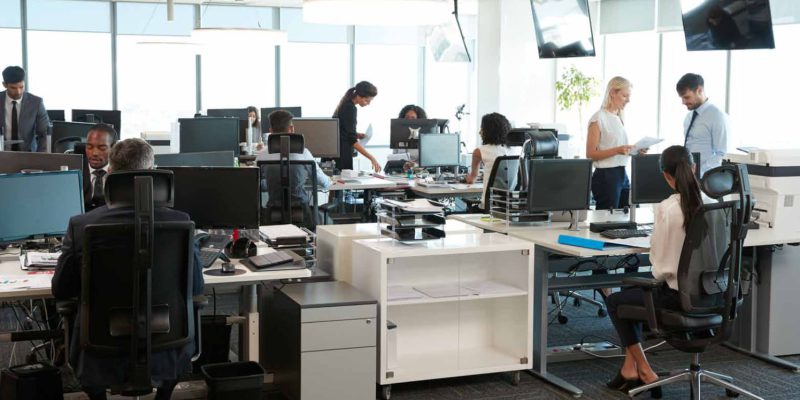 Working for CogniSoft