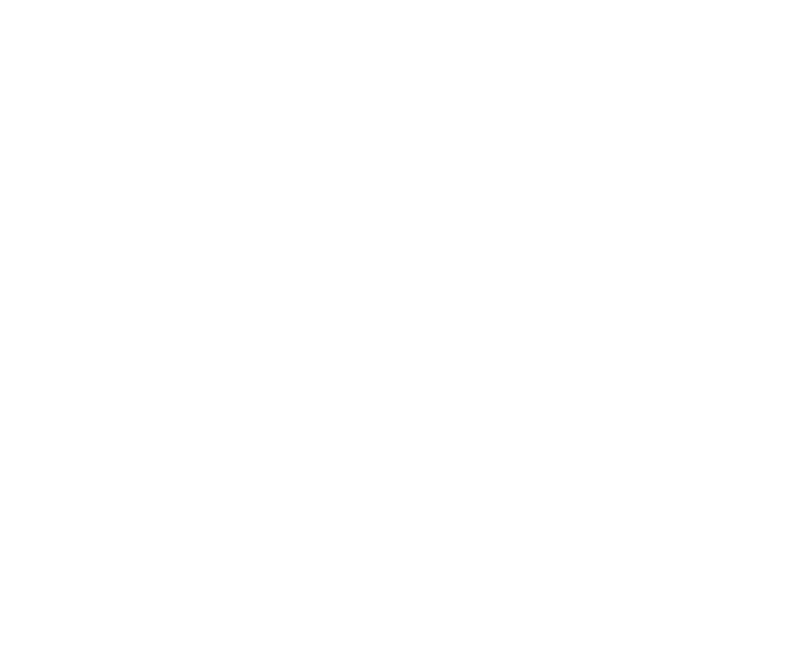 Social events throughout the year